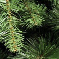   Royal Christmas Montana Slim Premium Pp/ Pvc 165