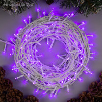   20 , Ip20,  , 200 Led,  , 8 , 220 