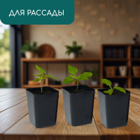 ������ ��� �������, 800 ��, 9 9 12.5 ��, �������, ����, Greengo