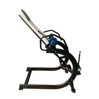   Proxima, Arriva Pro, Ci-19kl