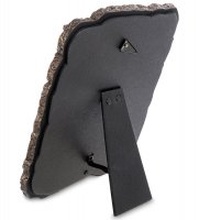 Ws-1021 ���������