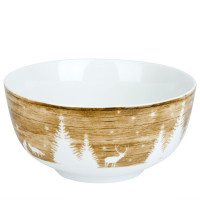  Winter Forest V=650  (min6)