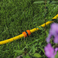  ,   3/4 (19 ),  , -,  , Greengo