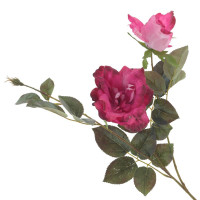 ������ ������������� ����, L21 W18 H80 ��, 2�.