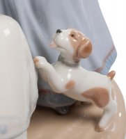 Cms-20/15     (pavone)