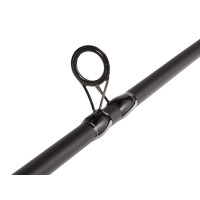 ������� �������� Salmo Diamond Carp, ���� 1-120 �., ����� 3,6 �.