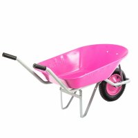   Pink Line, ,  78  Palisad