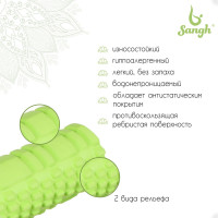 ����� ��������� Sangh, 29�9 ��, ���� ������