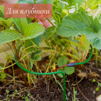   , D=20 , H=25 ,  D=0.3 , , , Greengo
