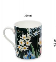 Jk-255 ������ ������ ������� (notte A Palermo Pavone)