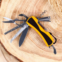 ��� ����������� "�����" 13�1