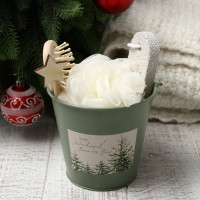    Winter Magic (4 ),  30 60 , , 