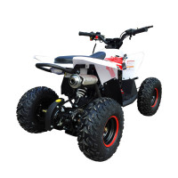 ������� ���������� ���������� Motax Gekkon 90cc 1+1 (������), ����-�������