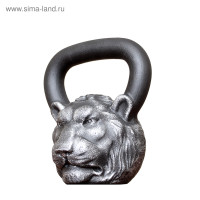 ���� ���� 16 ��