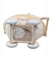 Cms-15/31 .   (pavone)