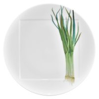   Noritake     27