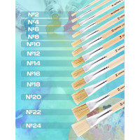   ,   18 (  18 ;   26 ),  , Calligrata