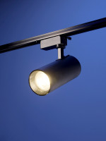   Luazon Lighting, Ltl-012, 30 , 2100 , 4000 K, ,   