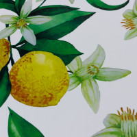 ������������� �������� Joy Home, ���������� ������, 26�41 ��