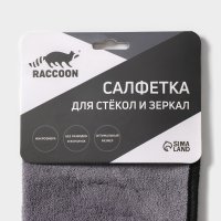    Raccoon  , 30x30 , ,  