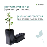   , 5 , 12 35 , ,  100 ,  , , Greengo