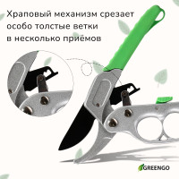  , 7 (18 ),   ,  , Greengo
