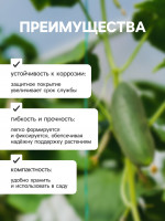    , 50 , , , Greengo