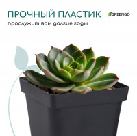 ������ ��� �������, 700 ��, 10 10 12.5 ��, �������, ������, Greengo