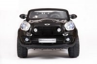 Mini Beachcomber (  ) -