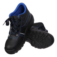    Prosafe Basic 13,  ,  45