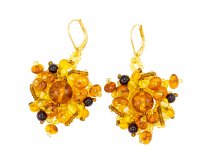 ��������: �����, ������, ������