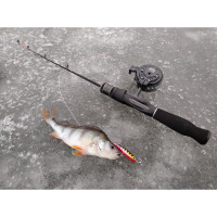  Lucky John Nordic 6 + , 6 ,  114 