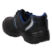    Prosafe Basic 23,  ,  43