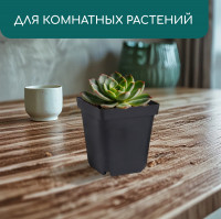 ������ ��� �������, 700 ��, 10 10 12.5 ��, �������, ������, Greengo