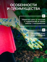  , ,   ,  10,  , Greengo