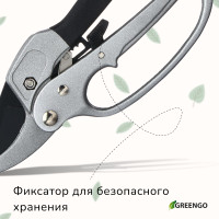  , 8 (20 ),   ,  , Greengo