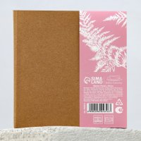   2  Dolce Ceramo.  350 , ,      2 