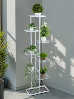    Greengo, 8 , 43 22 141 , , , 