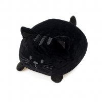   Kitty 