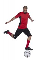    Selecao 230, 