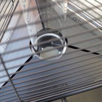 ������� ������� ������������ Italkero Falo ������ ����������, ������� ����