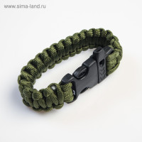 ����� ��� ��������� 4�1 (������ ��������, ����� ���������, ��������, ������)