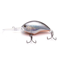  Namazu Hippocampus L-60 , 18 , , , 2.5 - 4.5 ,  5