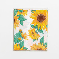      , 120x160(+/-5) ,  