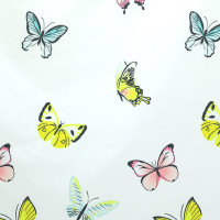     Mariposa, 180200 