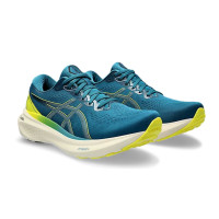   Asics Gel-kayano 30,  9,5 Us