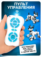   Koddy Iq Bot,   , : , , , ,  