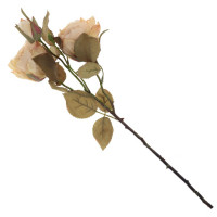 ������ ������������� ����, L20 W15 H56 ��