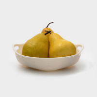     Sirenna, , 16.5 19.1 4 , 