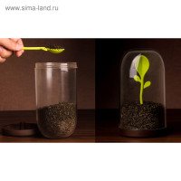     Sprout Jar, 700 